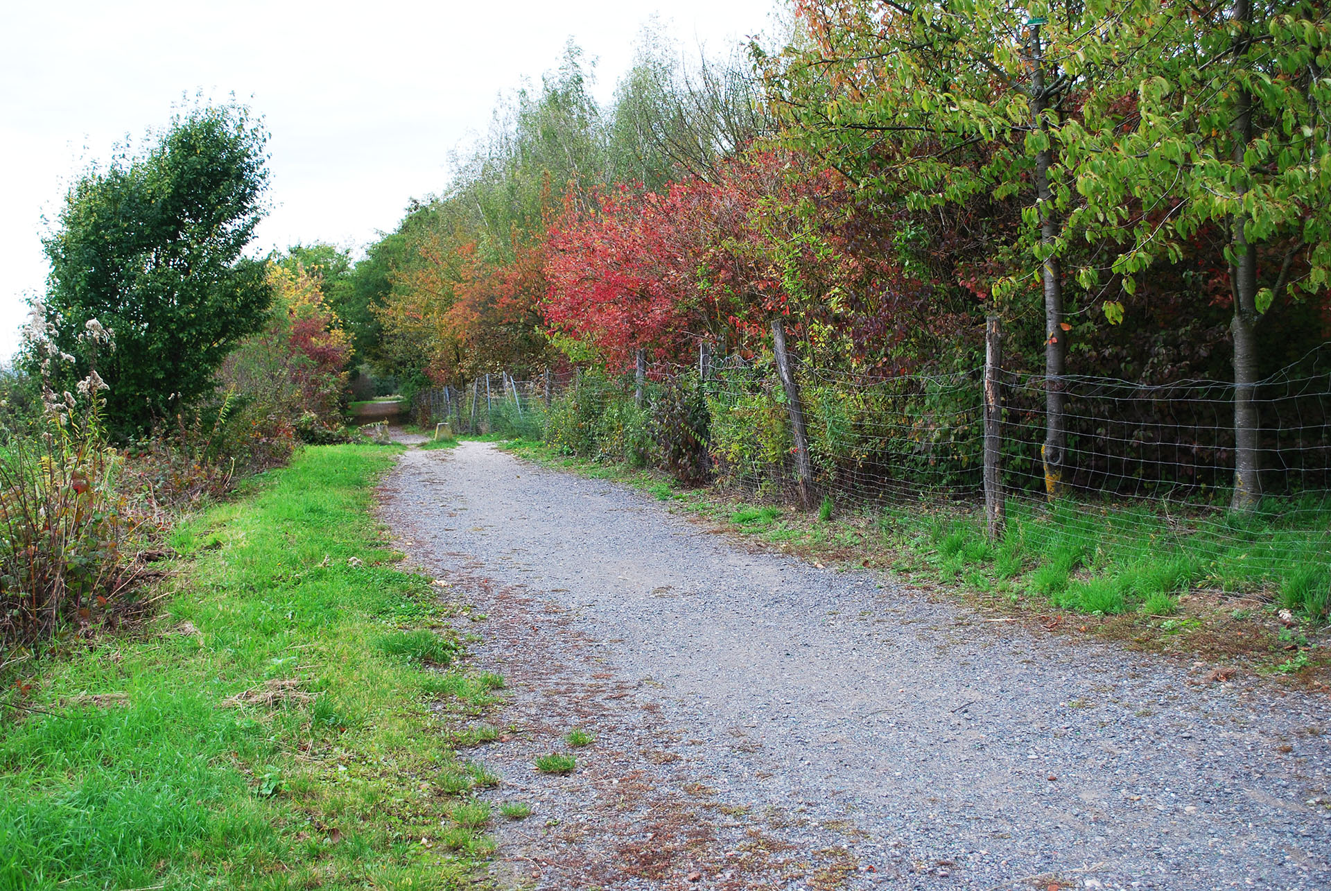 Chemin colline Mairie de Mundolsheim Alsace (BasRhin, 67)